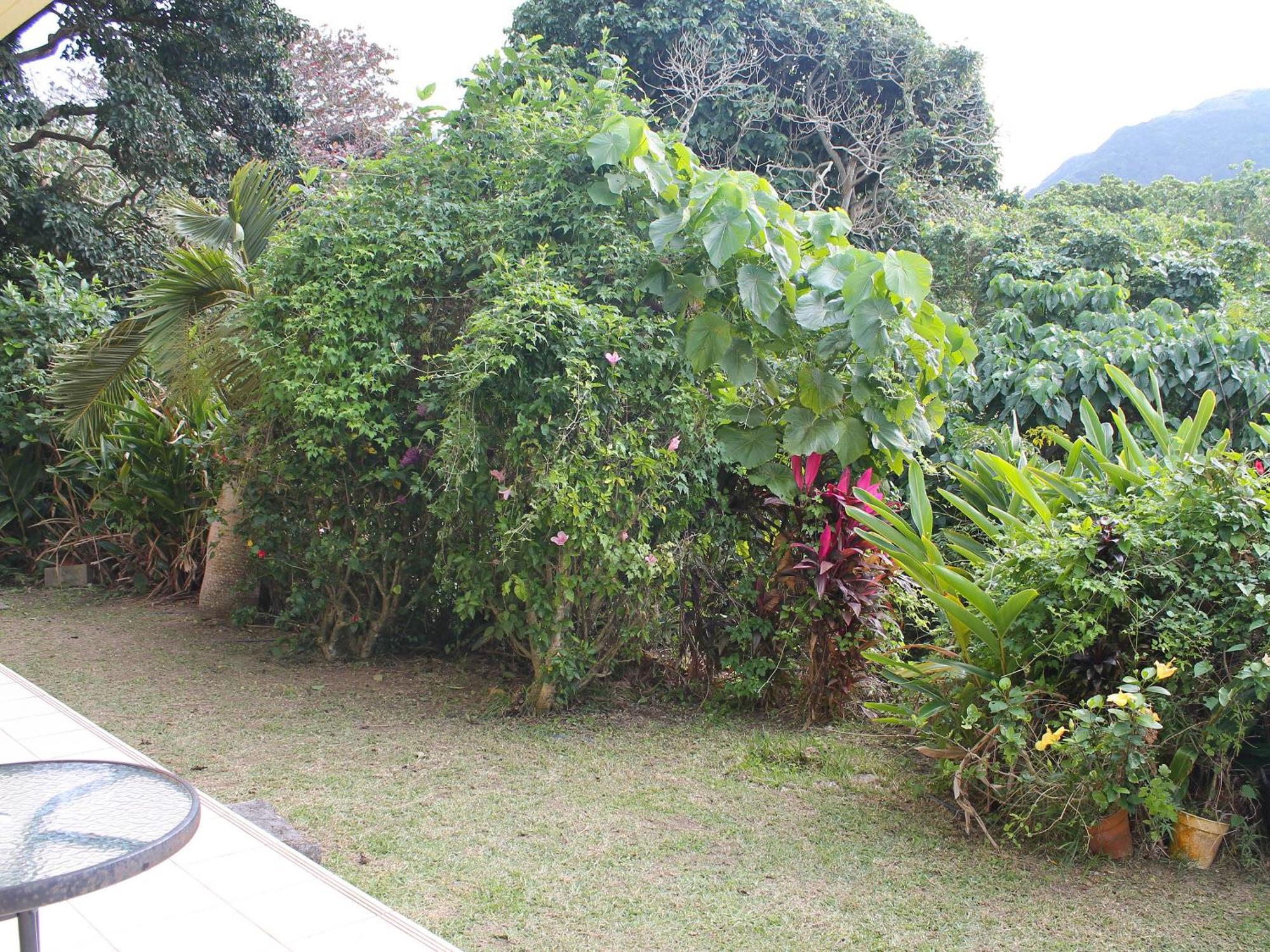 Pine Shima Resort Coral Fish Ishigaki  Dış mekan fotoğraf